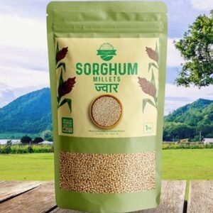 White Sorghum / Jowar