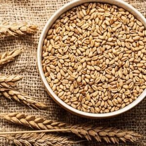 Sharbati Wheat