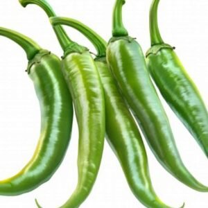 Fresh Green Chilli