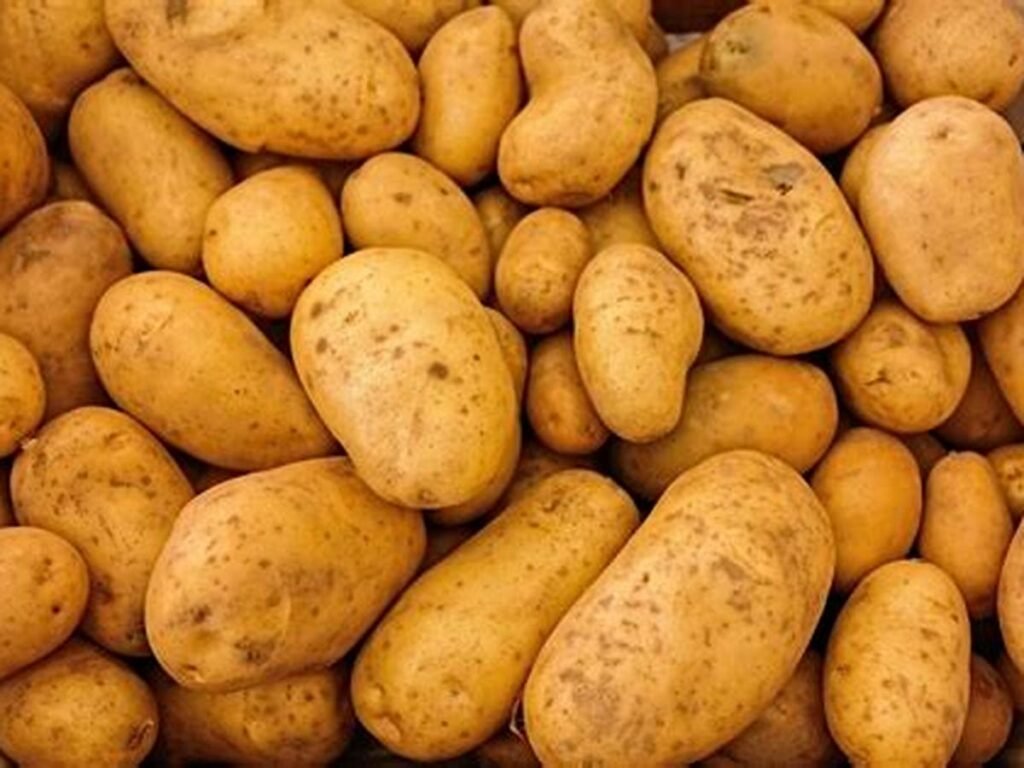 Fresh Potato