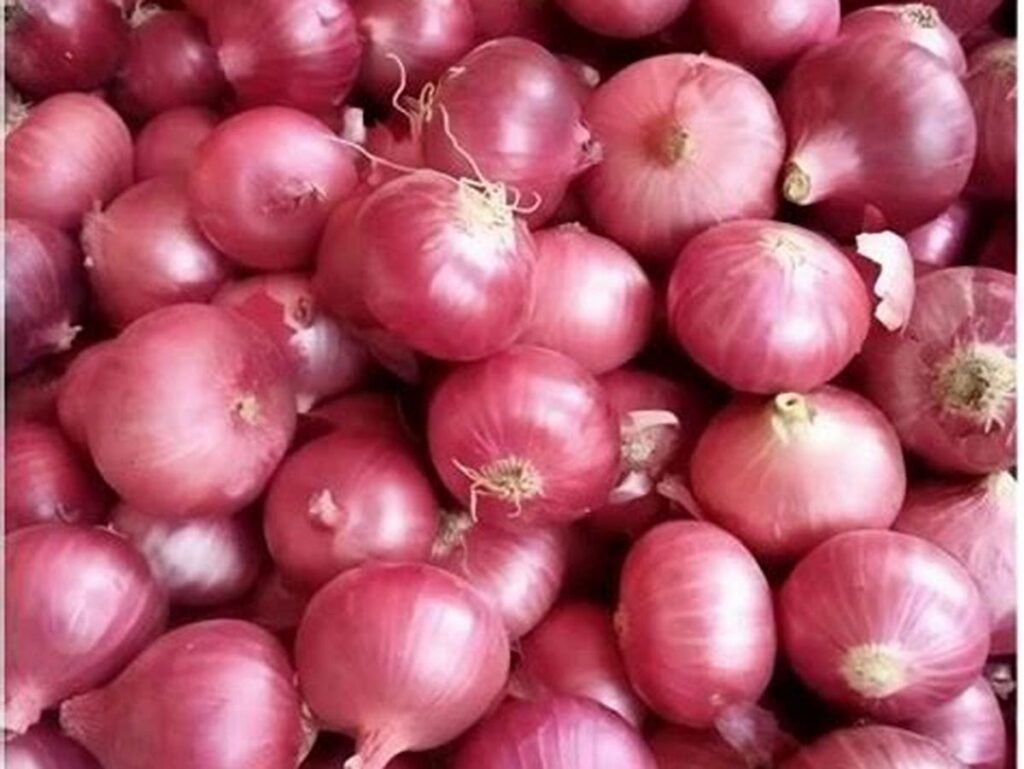 Nashik Red Onions