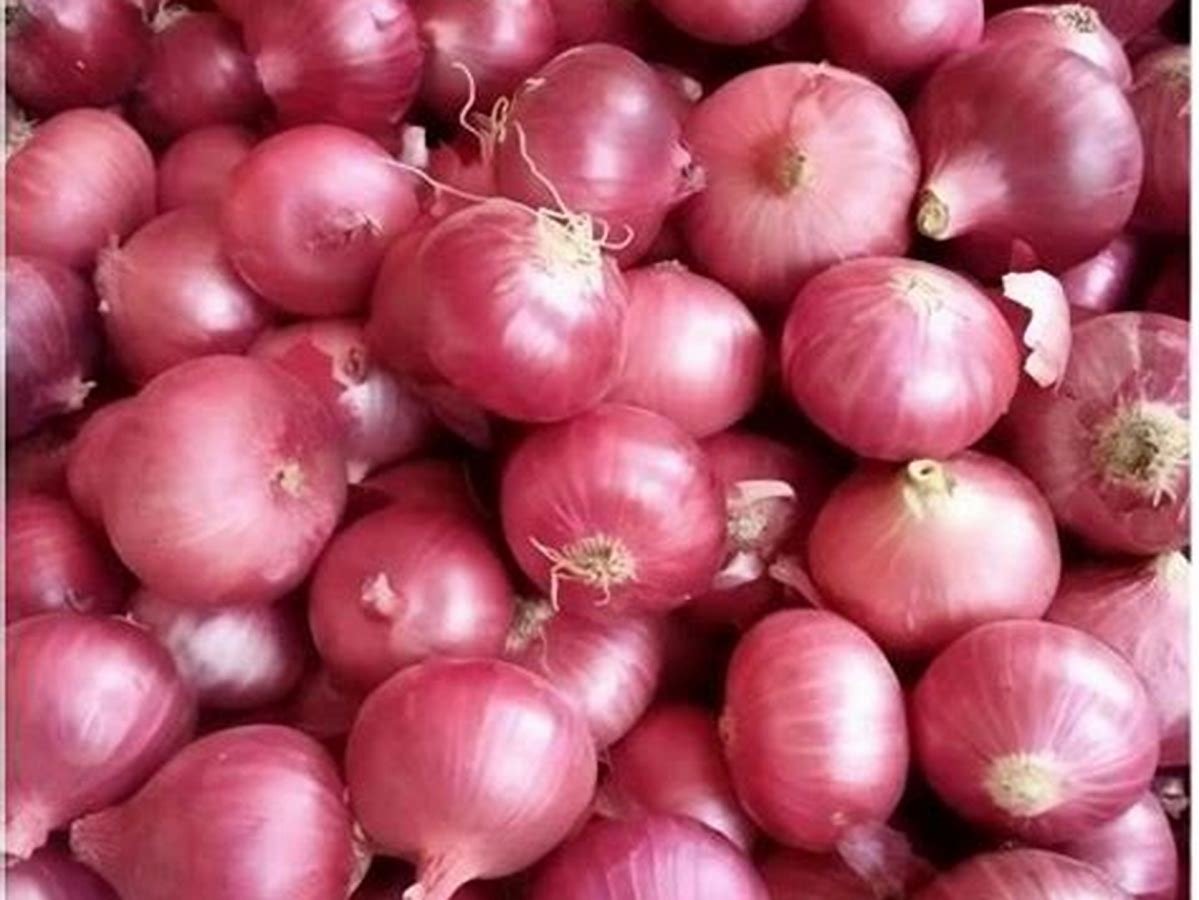 Nashik Red Onions